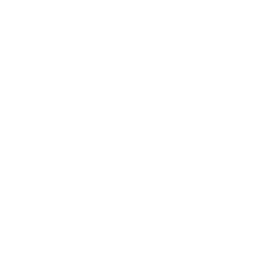 Fox Agility Icon